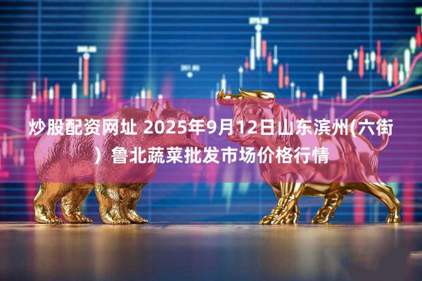 炒股配资网址 2025年9月12日山东滨州(六街）鲁北蔬菜批发市场价格行情