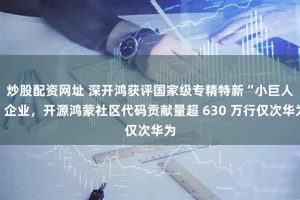 炒股配资网址 深开鸿获评国家级专精特新“小巨人”企业，开源鸿蒙社区代码贡献量超 630 万行仅次华为